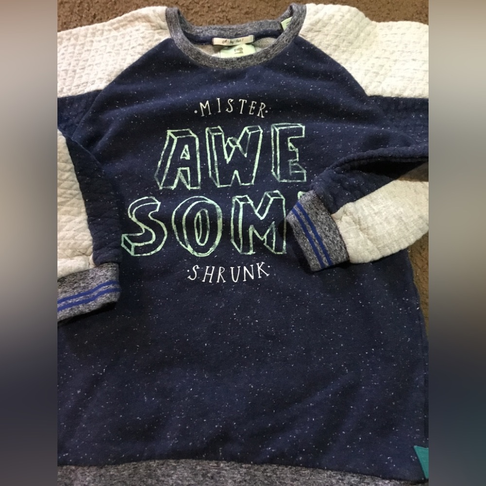 Boys size 12 sweatshirt by scotch shrunk